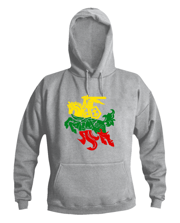 Džemperis Spalvotas Vytis Džemperis Spalvotas Vytis